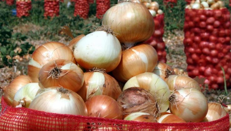 Nisan ayının zam şampiyonu kuru soğan oldu