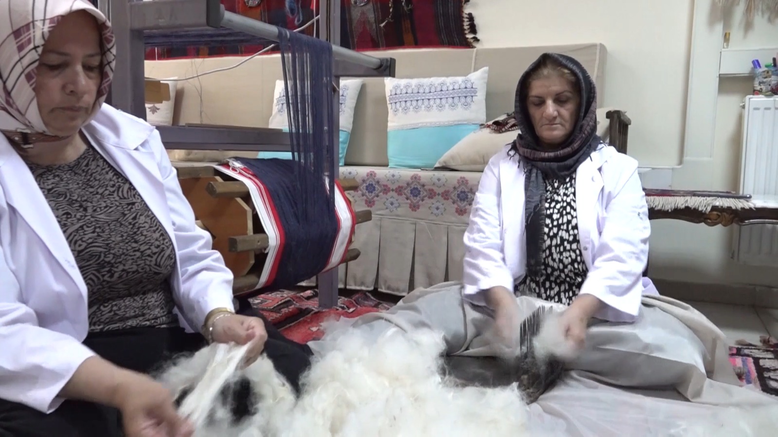 Norduz Koyunu’nun yünü ilçe ekonomisine katkı sağlayacak!