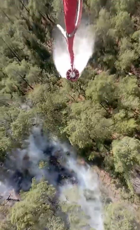 Orman yangını büyümeden söndürüldü