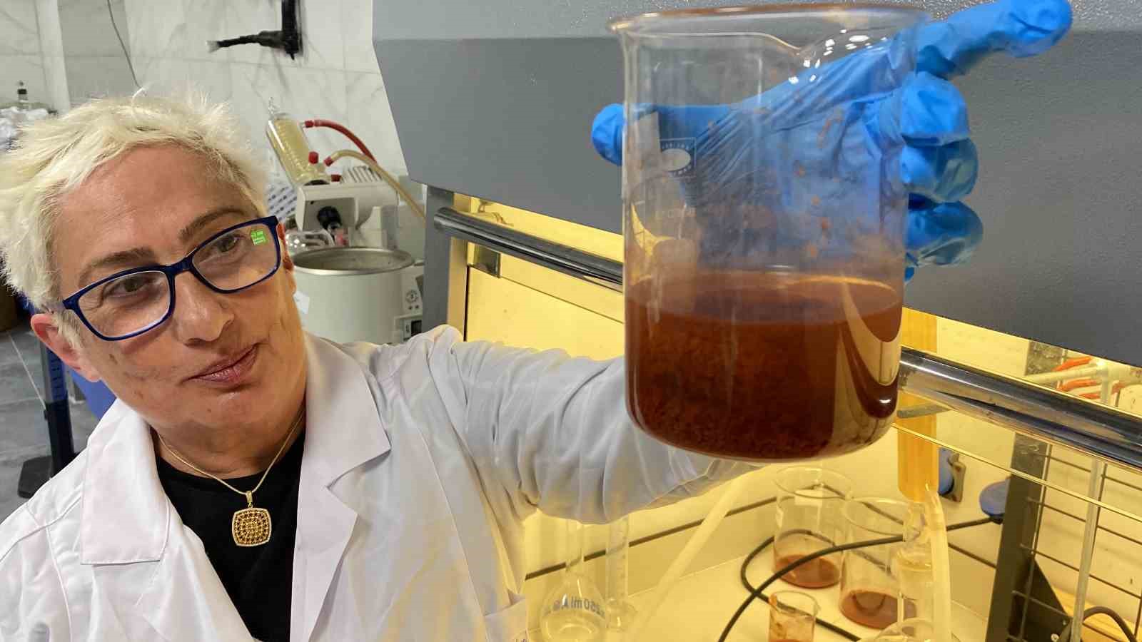 Prostat ve meme kanserinde yeni umut!