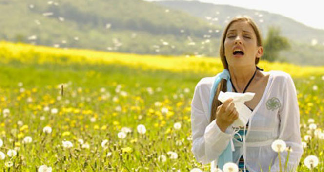 Sağlık Bakanlığından polen uyarısı!