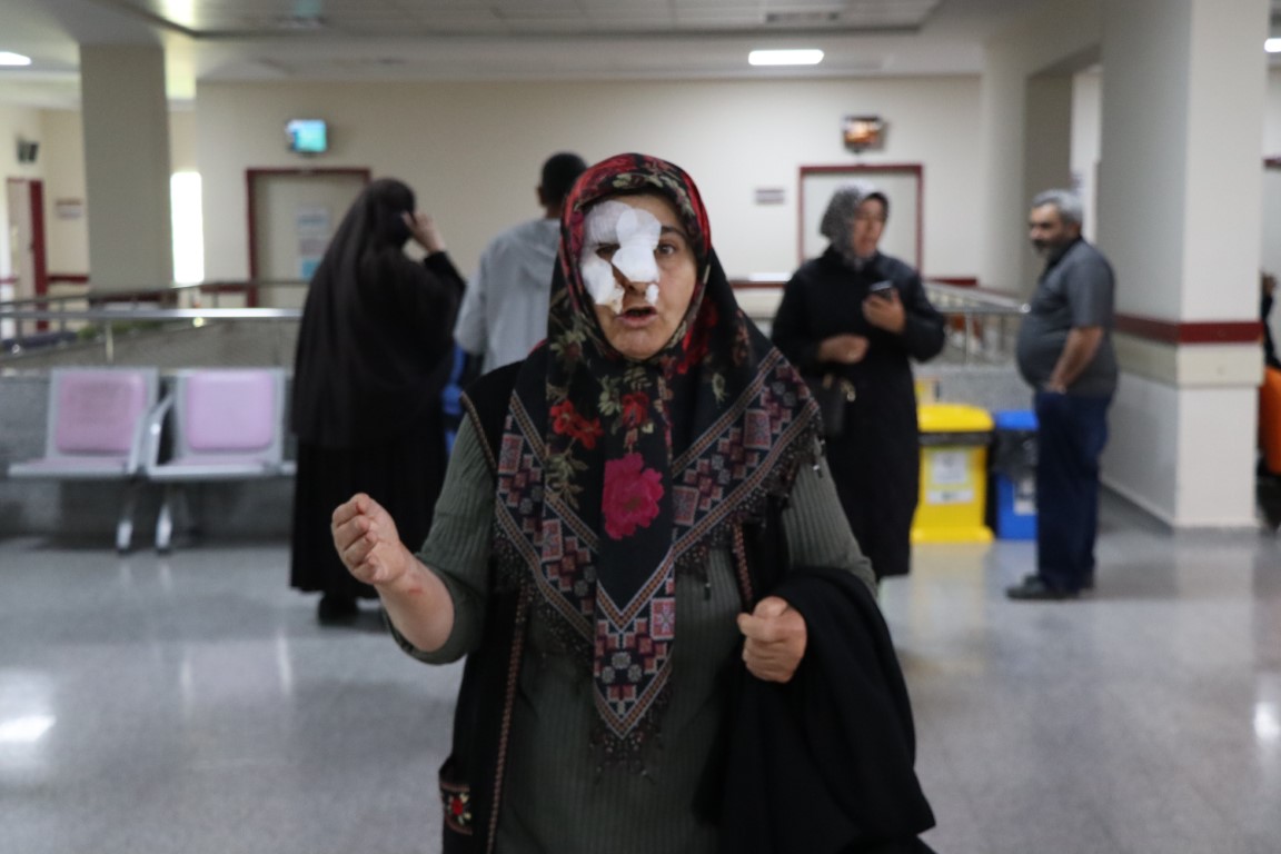 Sokak köpekleri dehşet saçtı! İşte görüntüler…