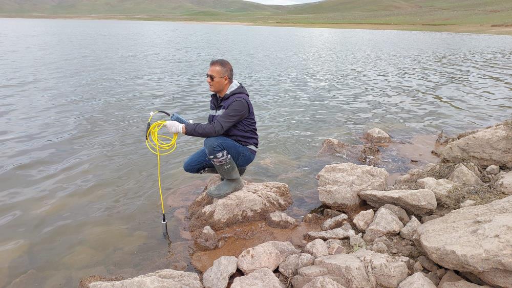  Van’da balık ölümleri yaşanıyor! Nedeni araştırılıyor  