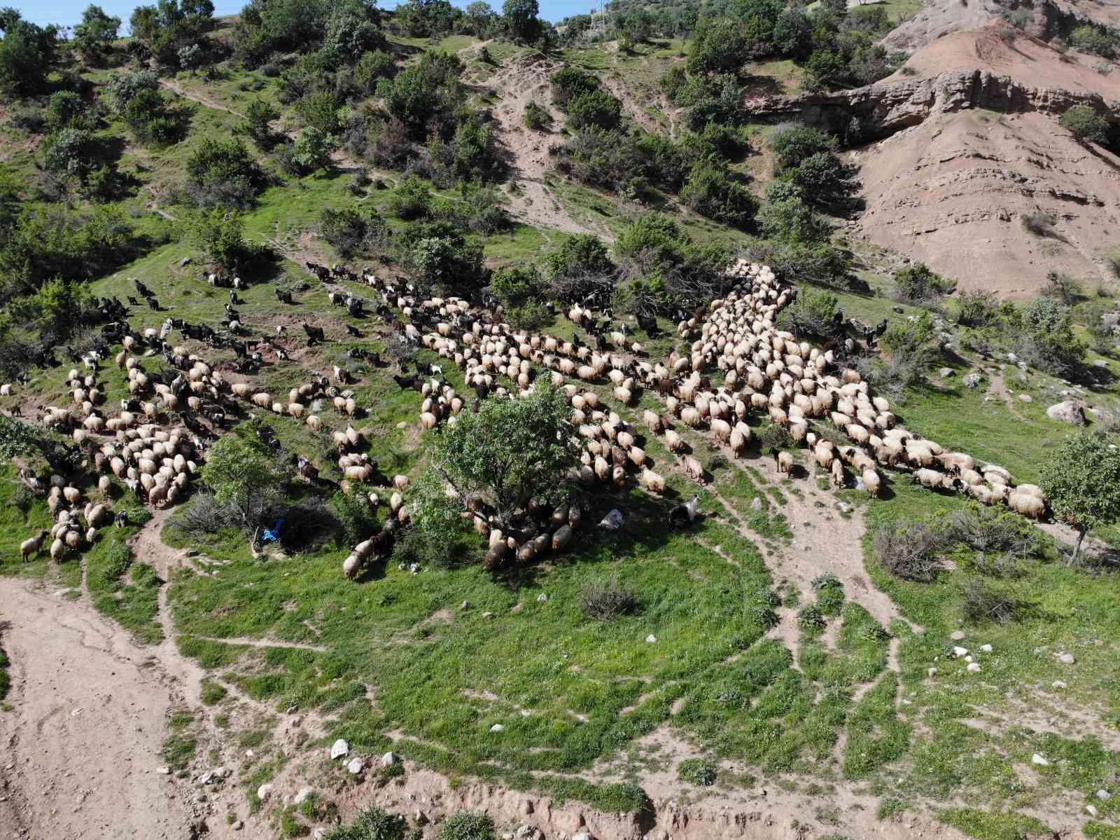 Zorlu yayla yolculuğu başladı!
