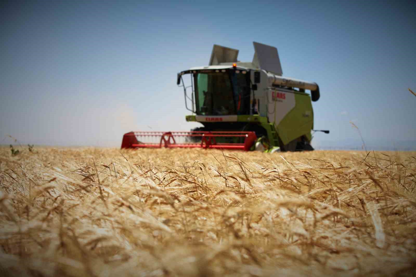 Konya Ovasında kıraç alanlarda bitkiler strese girdi, rekolte beklentisi düştü
