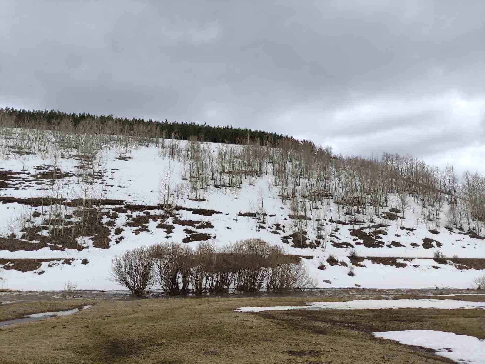 Bahar ve kış bir arada