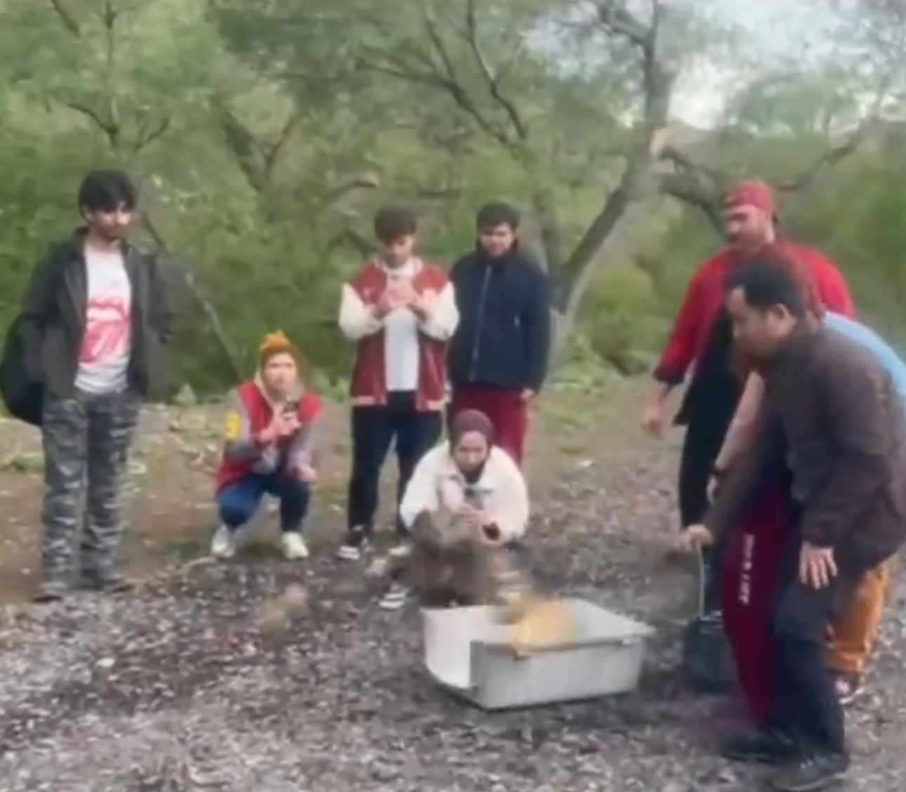 Bir yıldır veri alınamayan kuşa ulaşıldı