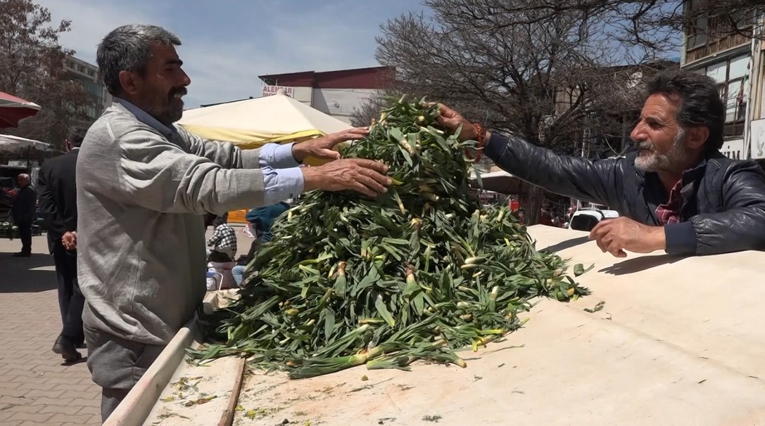 Çiriş otu Ercişteki tezgahlarda yerini aldı