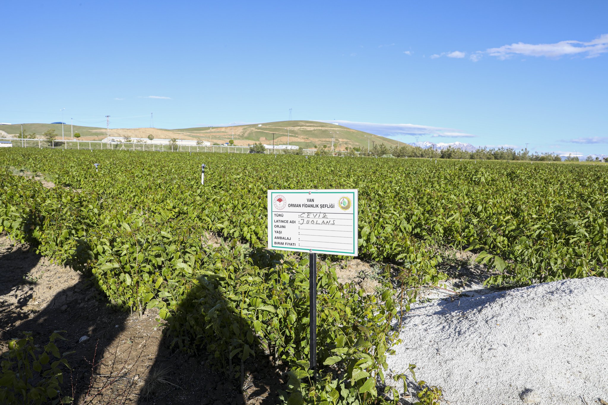 3 Milyon fidan Van’da toprakla buluşacak