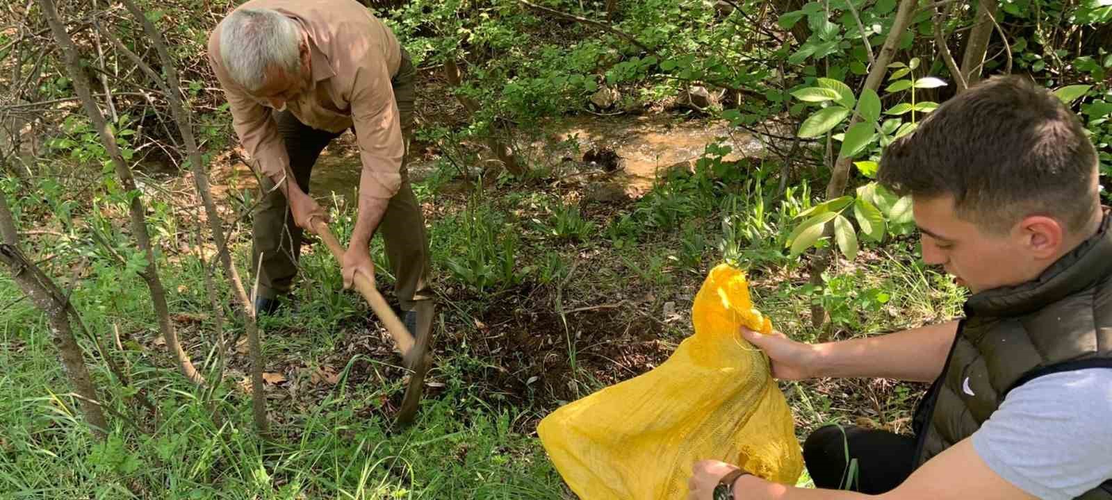 Salep soğanı toplamak pahalıya patladı