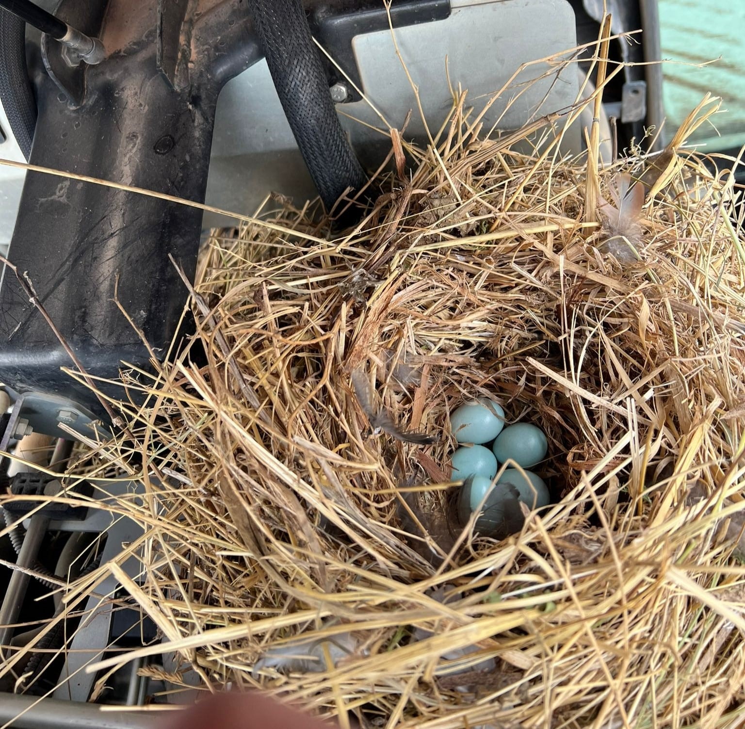 Traktördeki yuva için işlerini iptal etti