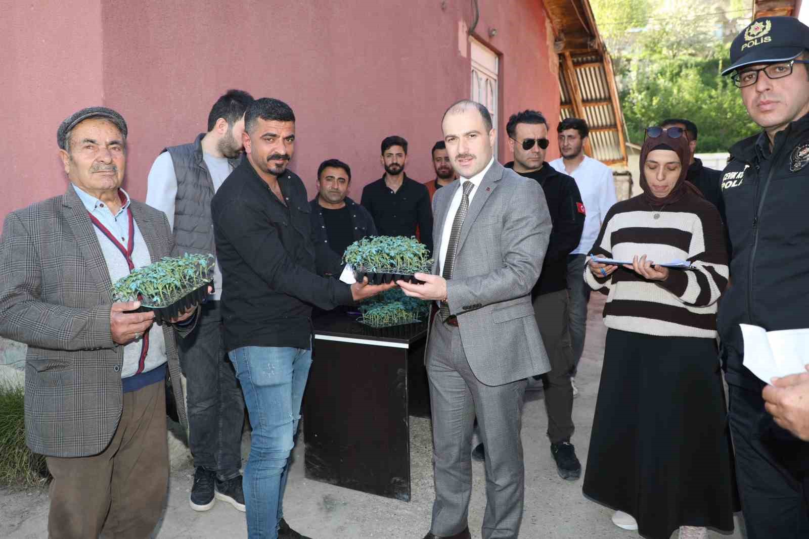 Van’da üreticiye destek: Domates fidesi dağıtıldı