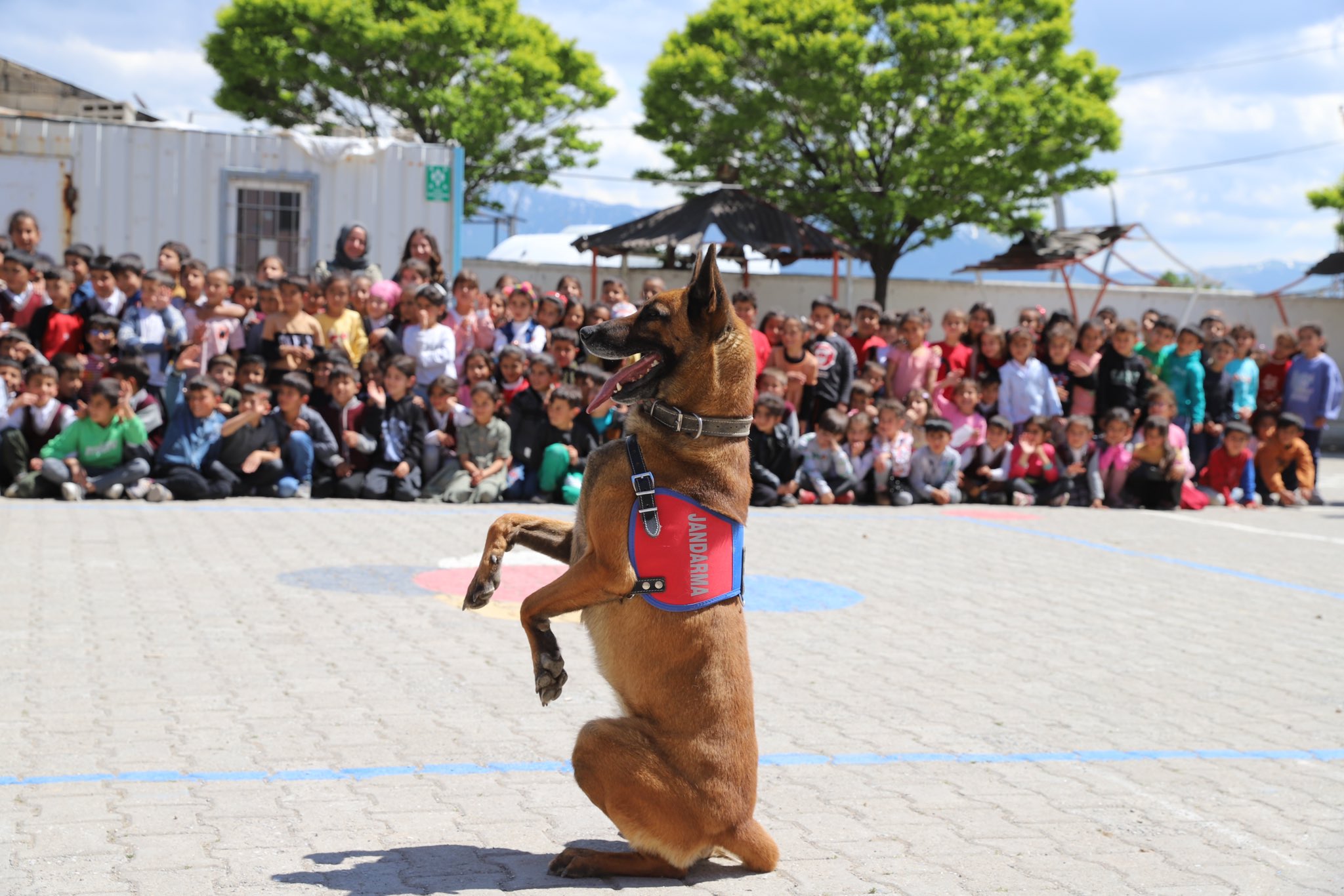 Arama Köpeği Yoga’dan öğrencilere özel gösteri