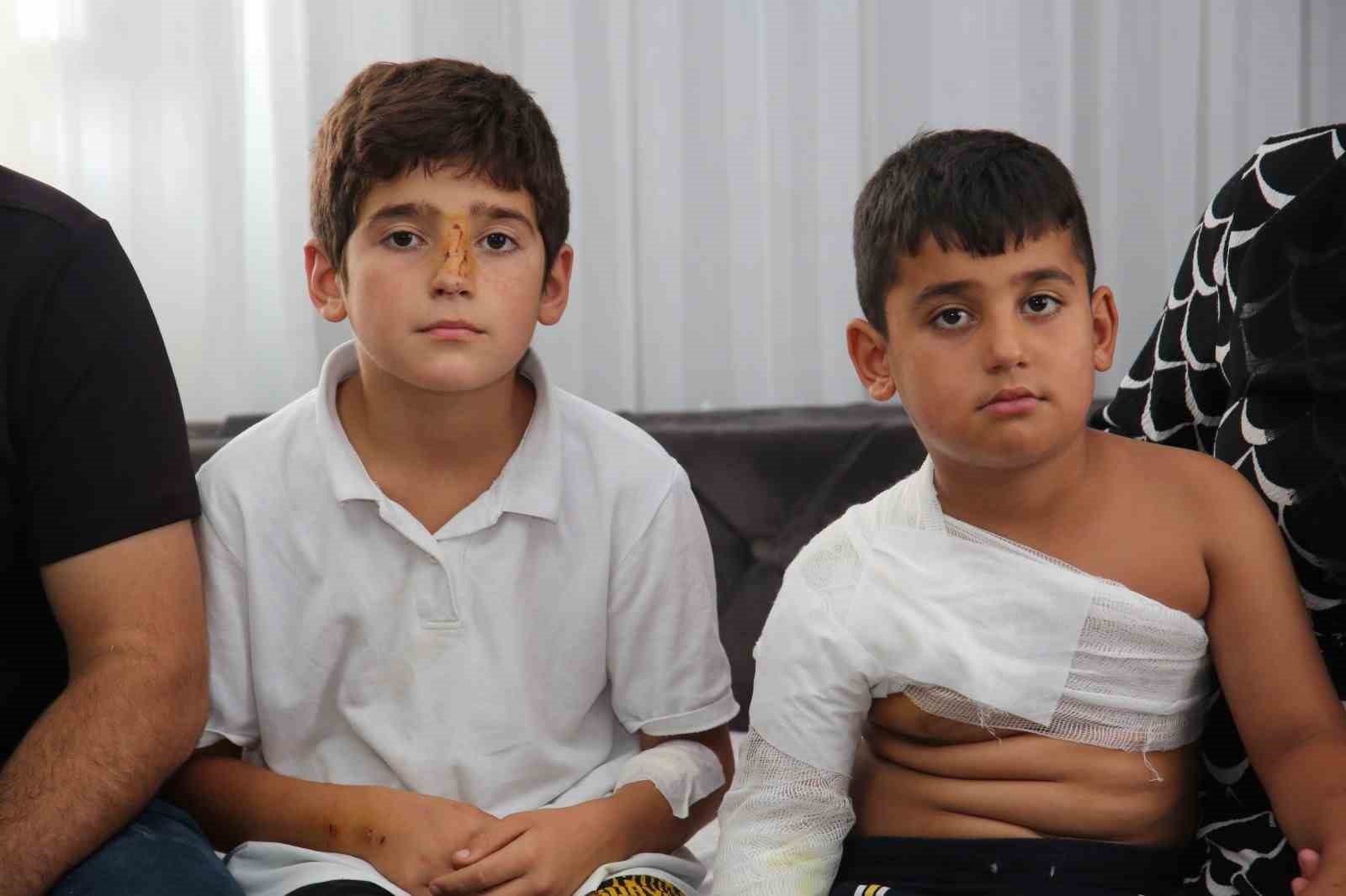 Muş’ta sahipsiz köpekler dehşet saçtı: İki kardeş yaralandı