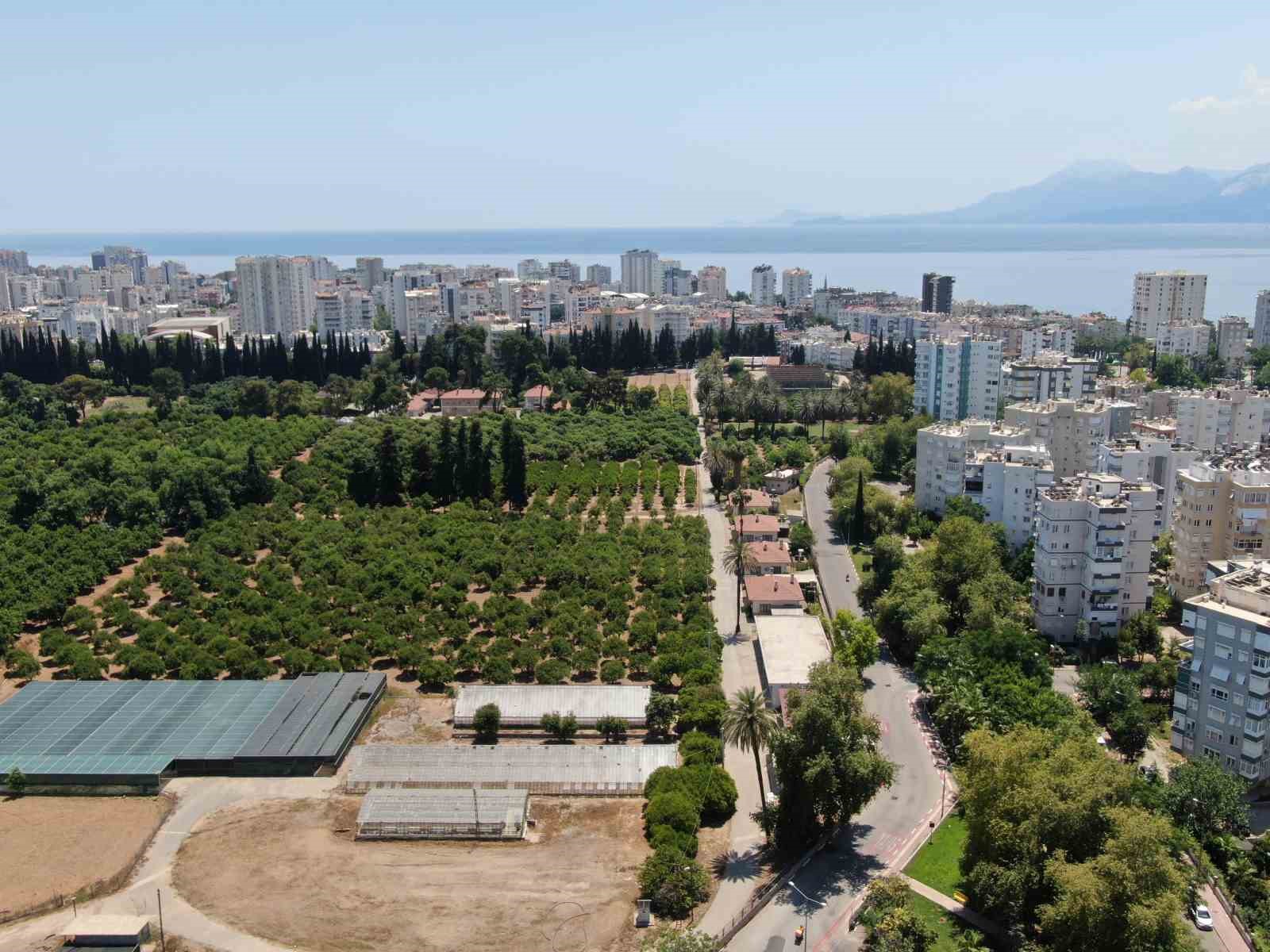 Antalya, 19 yılda 100 bin futbol sahası büyüklüğünde tarım alanını kaybetti