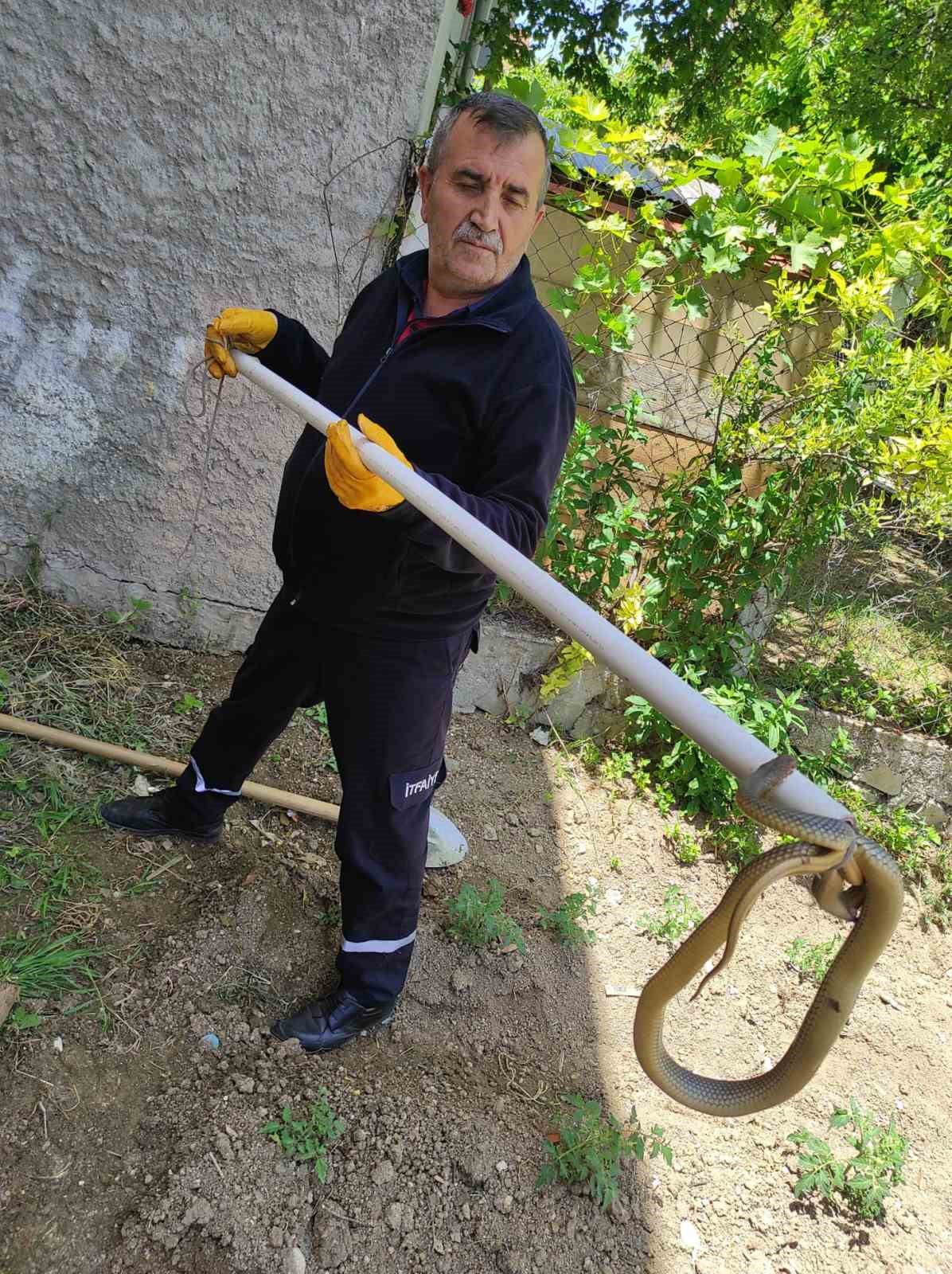 İtfaiye’den yılan operasyonları