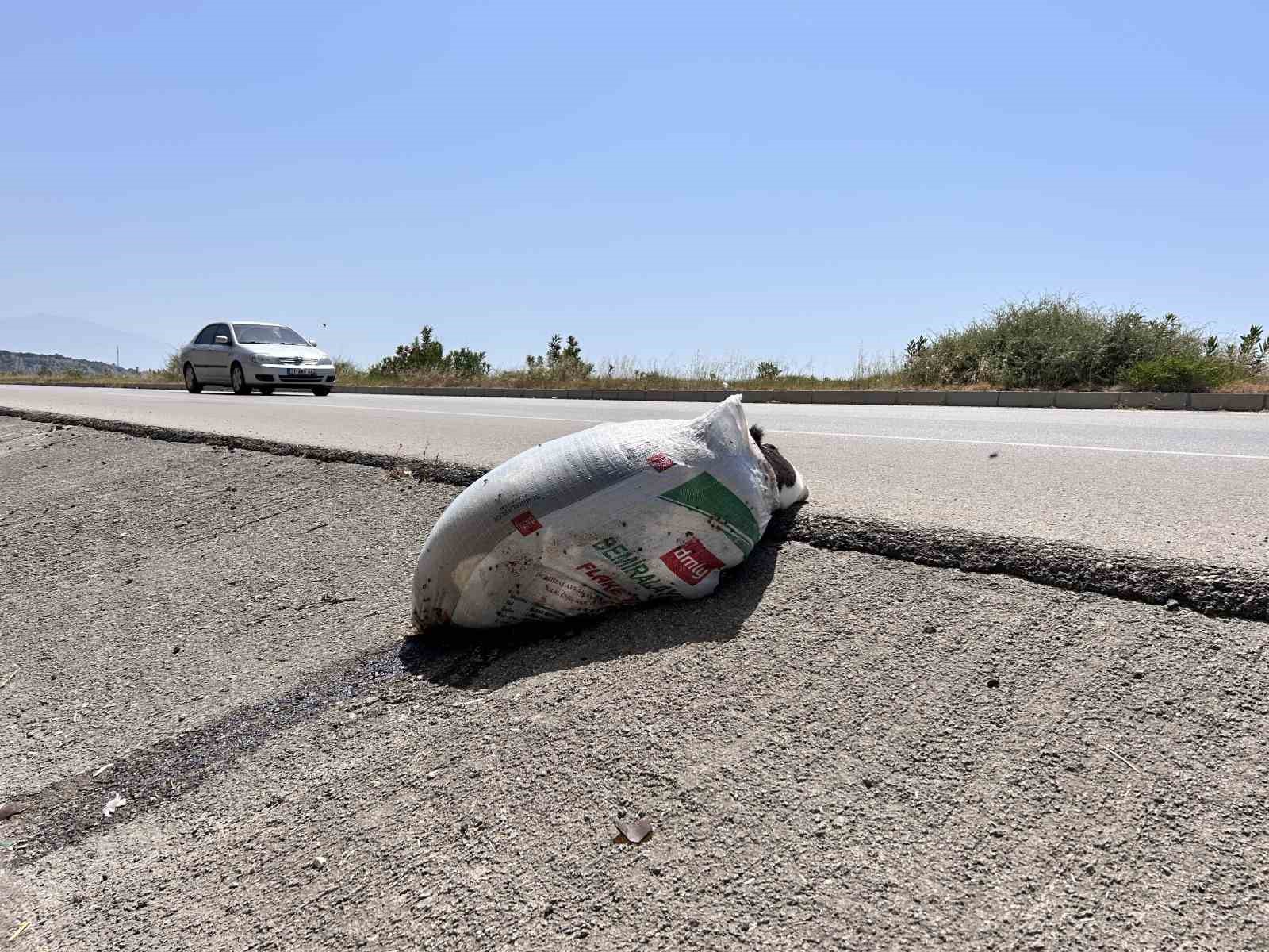 Telef olan buzağının yol kenarına atılması tepkilere nedne oldu