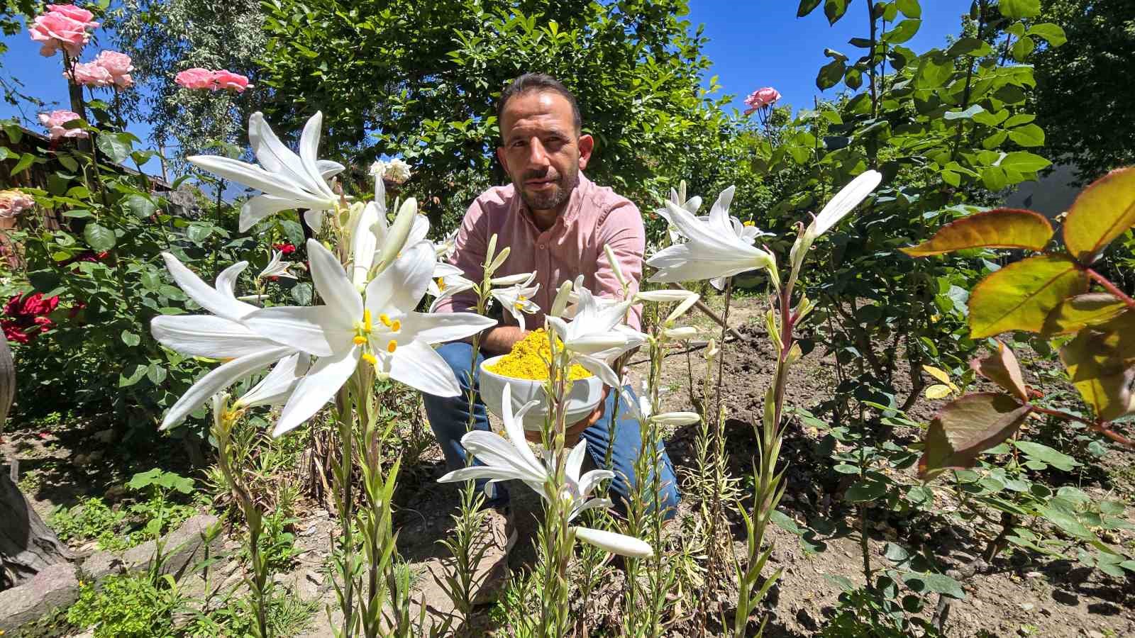 Kolonyası baş ağrısını gideriyor, sabunu gençleştiriyor