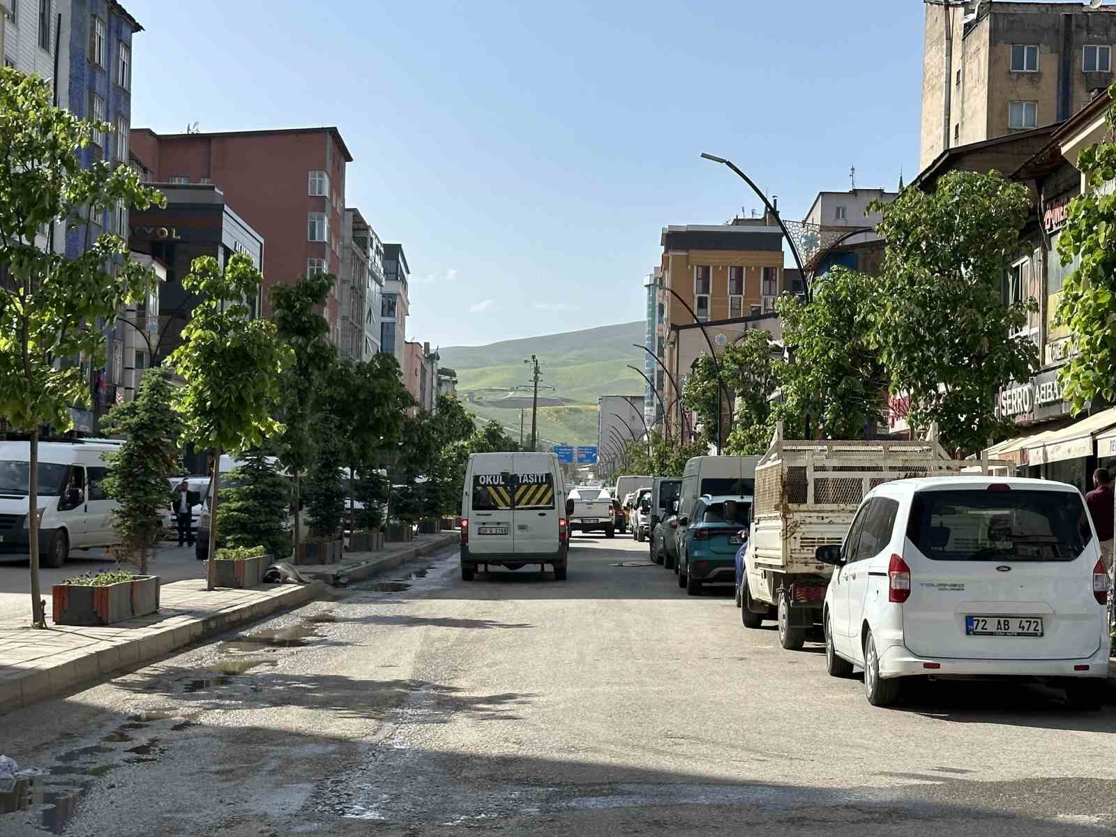 Yüksekova’da ilginç görüntü: Yolun bir tarafındaki ağaçlar kurudu, diğer tarafındakiler yeşillendi