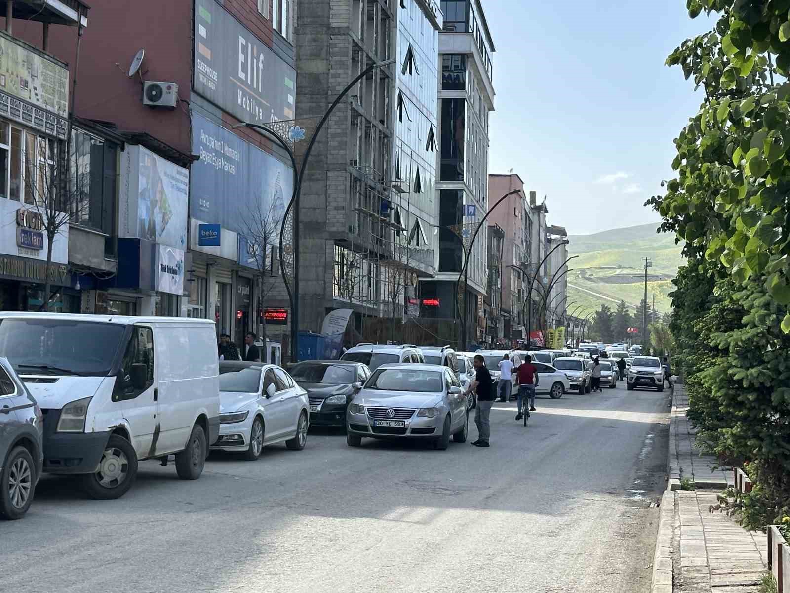 Yüksekova’da ilginç görüntü: Yolun bir tarafındaki ağaçlar kurudu, diğer tarafındakiler yeşillendi