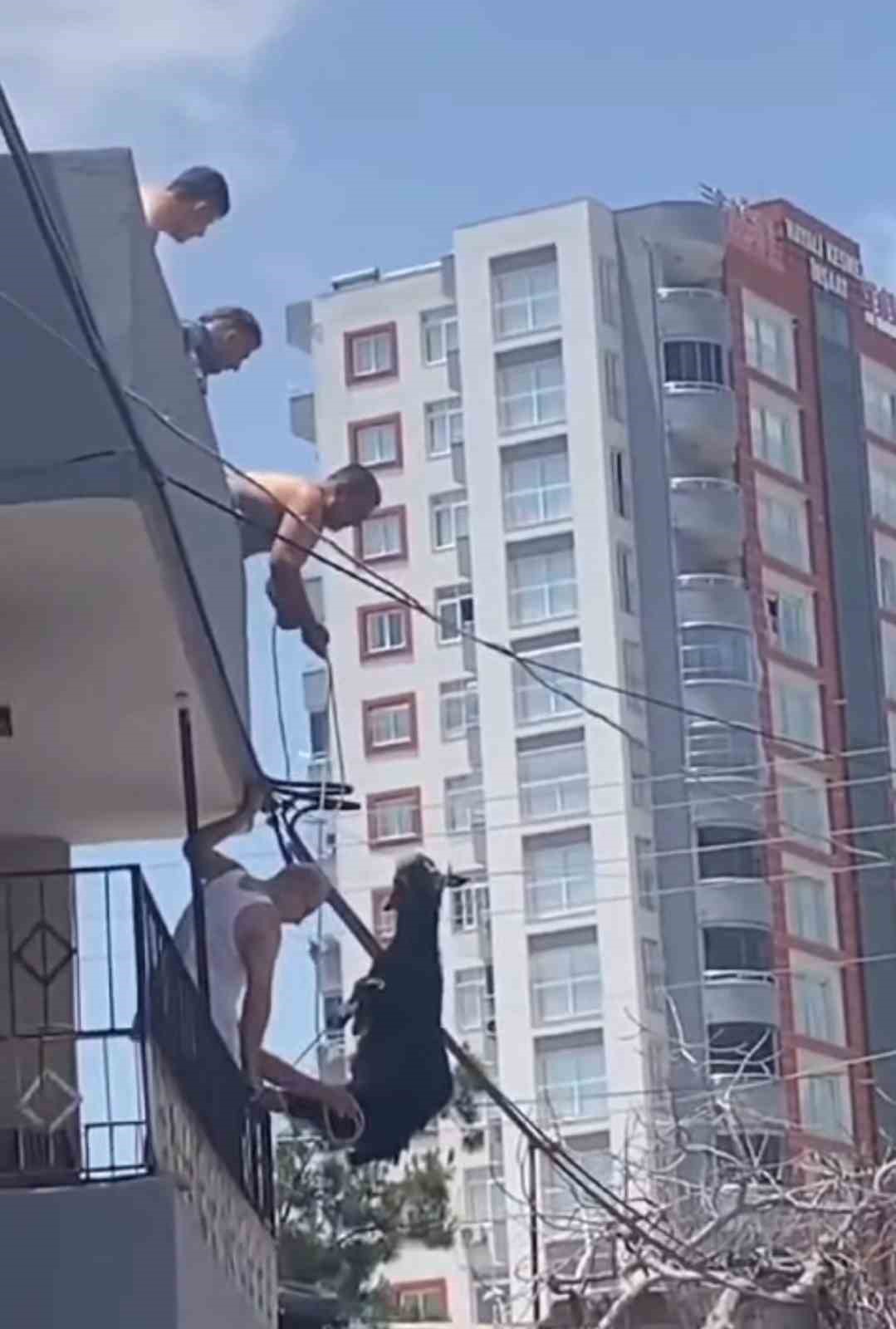 Kurbanlık keçiyi kurtaran Ramazan İmir: 