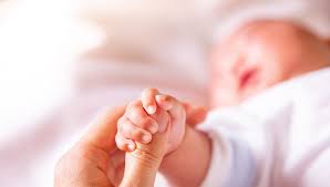 Bakan Göktaş düşen doğum oranlarını değerlendirdi