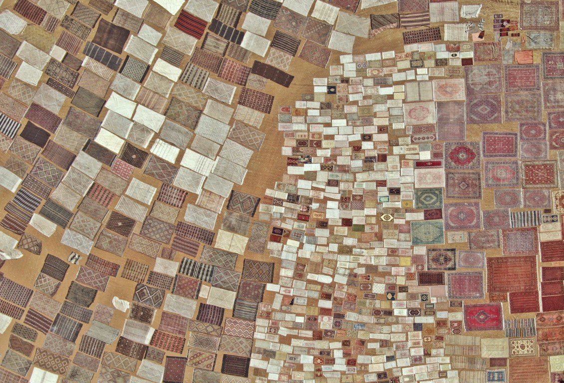 Binlerce halı meraklısının gözü bu tarlada