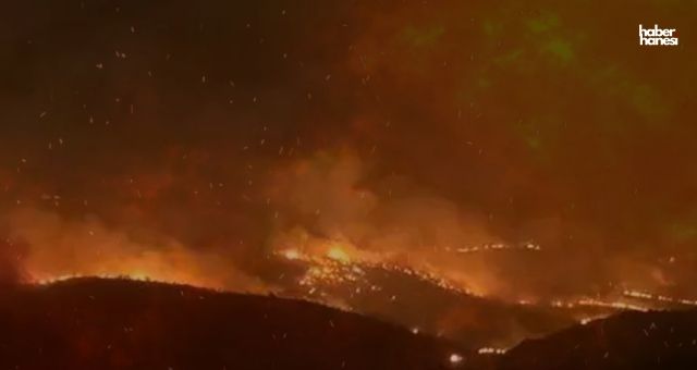 Diyarbakır ve Mardin’de çiftçilerin kayıplarına yönelik tespit çalışmaları tamamlandı