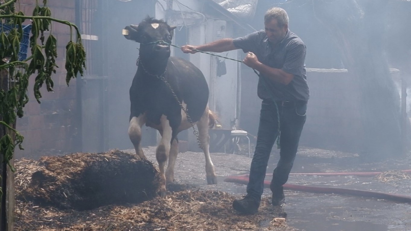 Hayvanları kurtarmak için alevlerin ortasına girdi