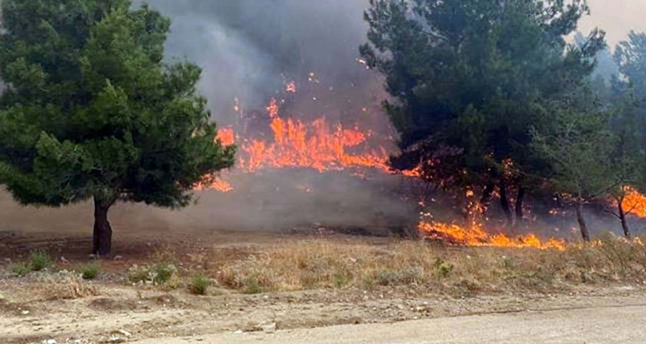 İstanbul Valiliği duyurdu: Orman yangınlarına karşı alınan önlemler duyuruldu