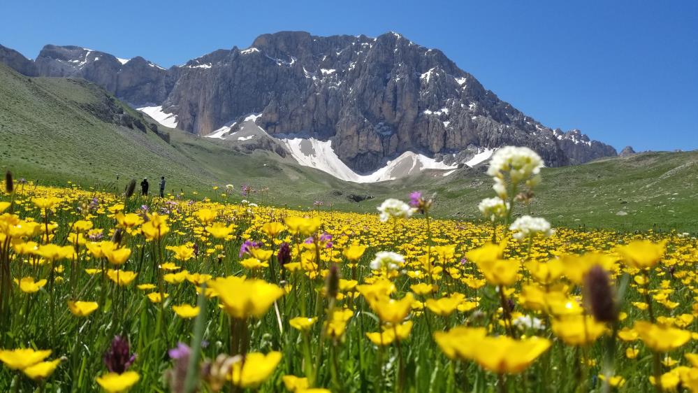 İsviçre Alperi değil Merg Yaylası