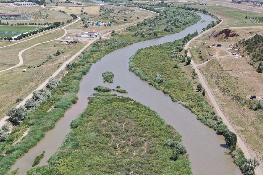 Kızılırmak yatağı otluğa dönüştü