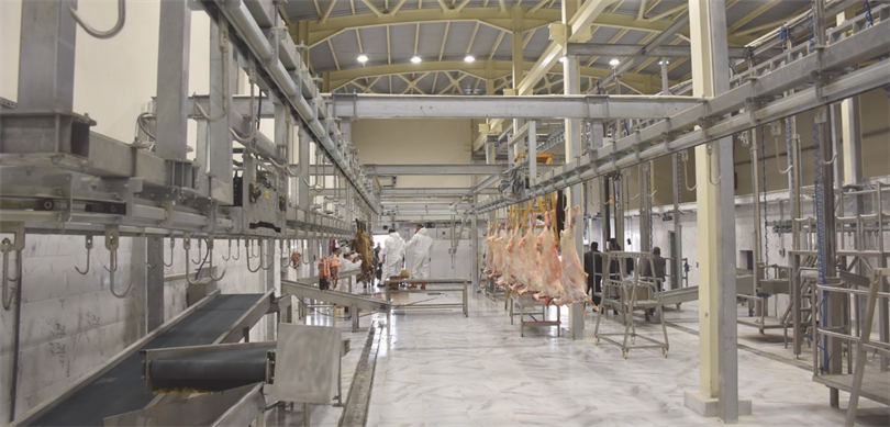 Kurban Bayramı öncesi kesimhaneler denetlendi