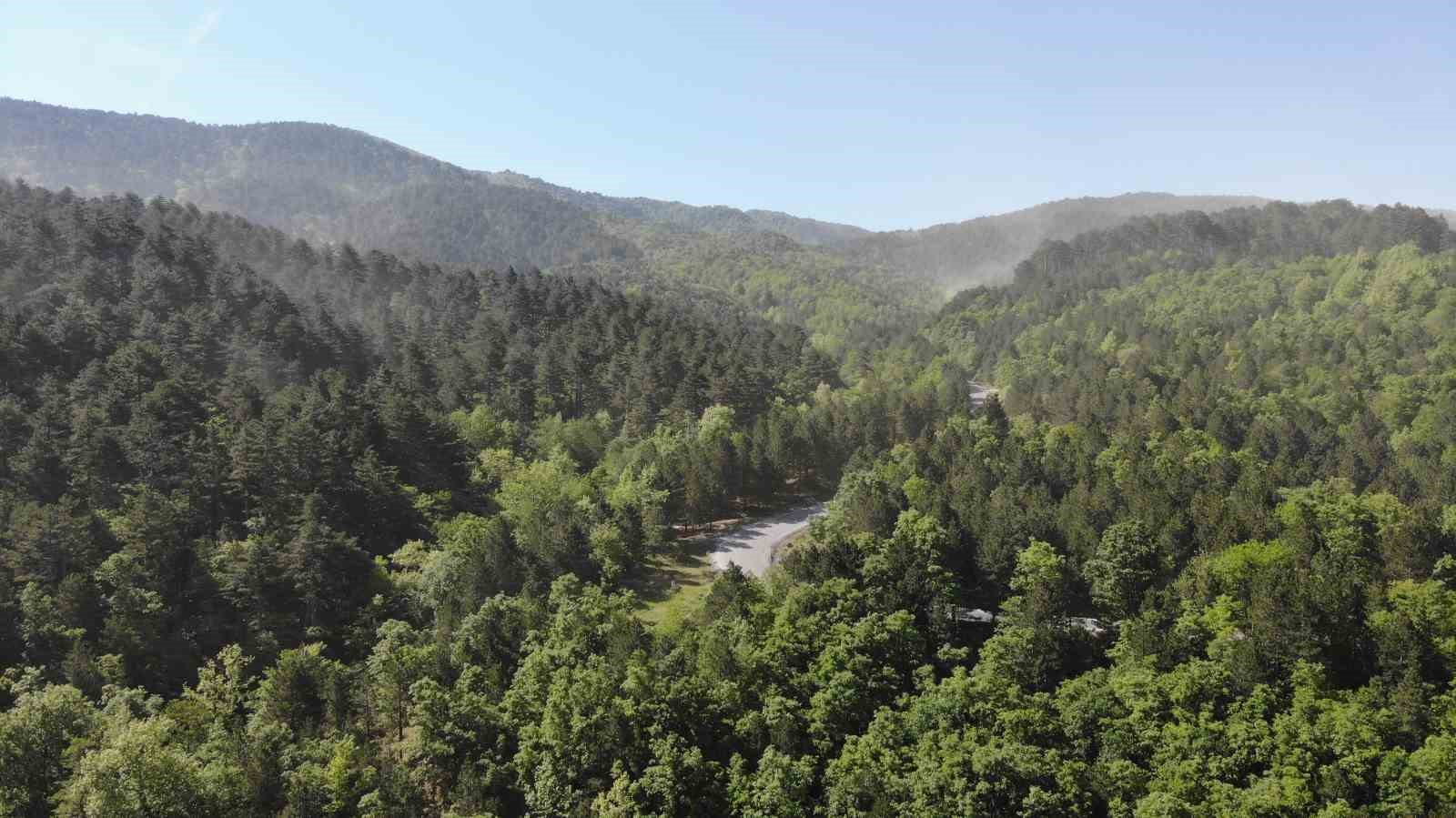 O ilde ormanlık alanlara giriş ve çıkışlar yasaklandı