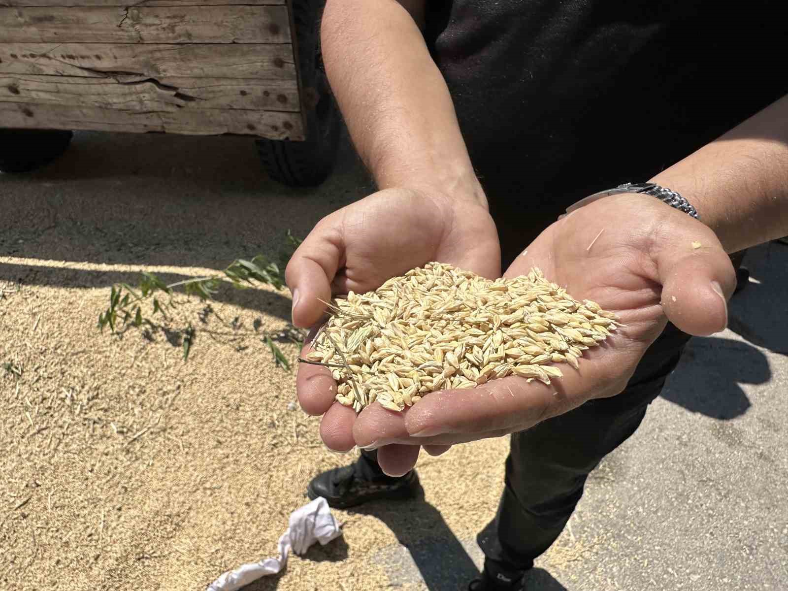 O ilde yılın ilk mahsulü kadın çiftçiden