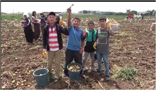 Tarlada çalışan çocuklara ’Dondurma’ ikram edildi