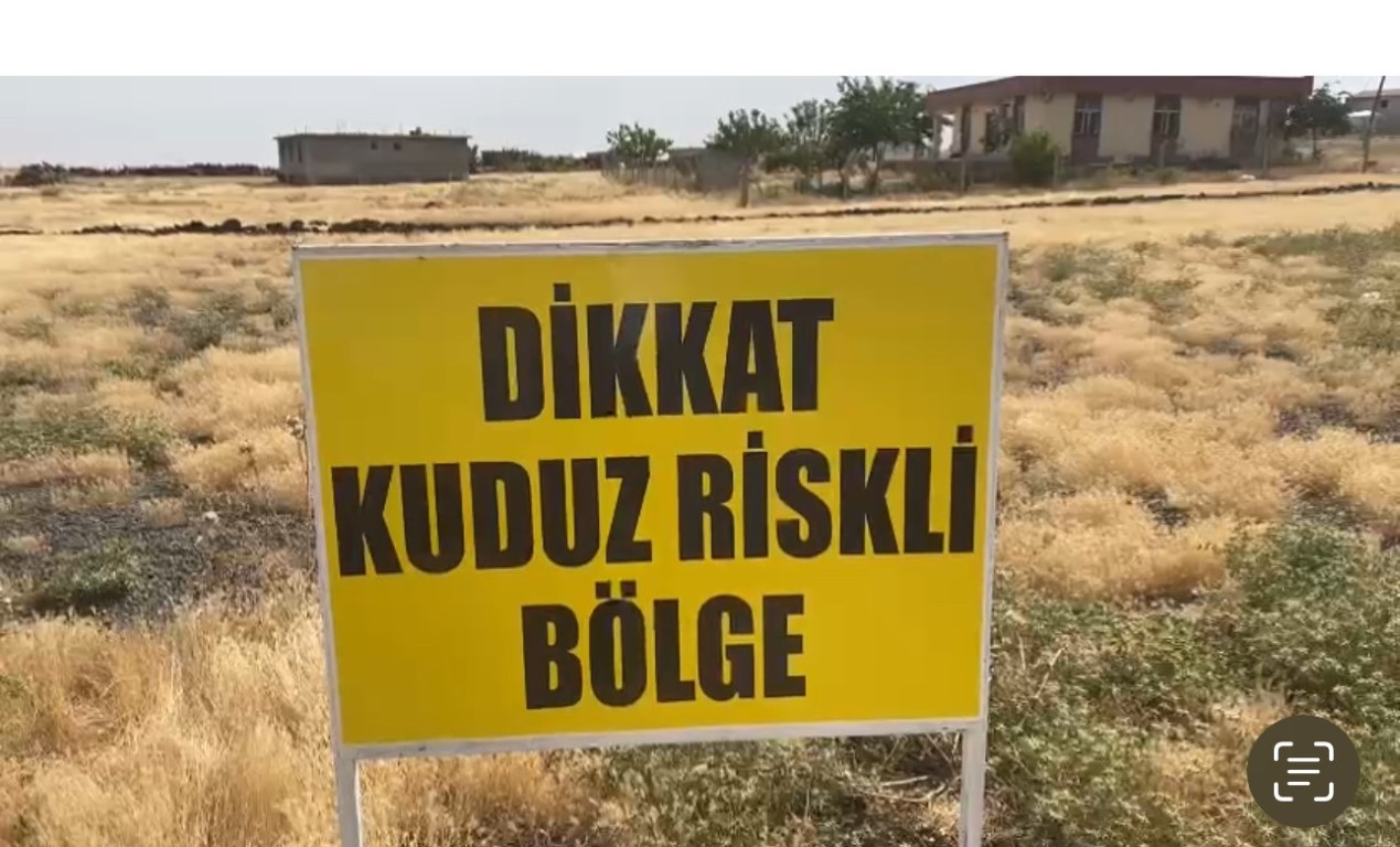 Türkiye’de kuduz vakaları artıyor!