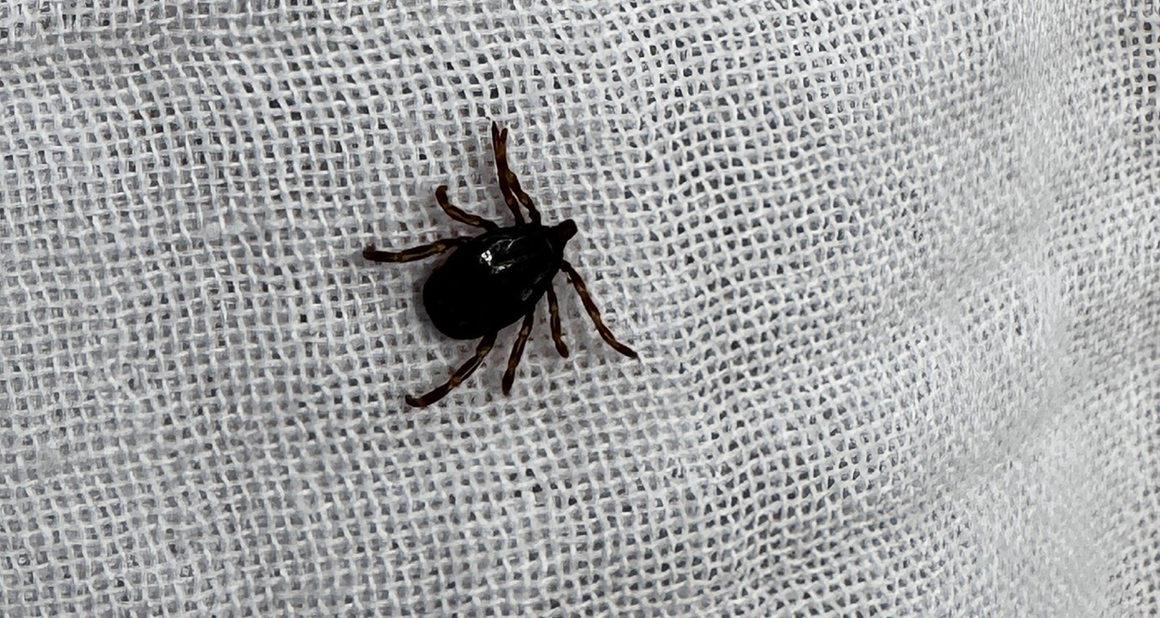 Valilik uyardı: 22 vaka tespit edildi, 3 kişi hayatını kaybetti