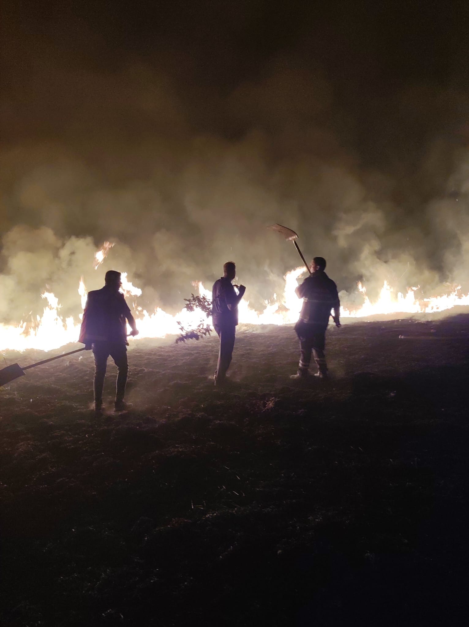 Van Büyükşehir Belediyesi Diyarbakır ve Mardin yangınlarına ekip gönderdi
