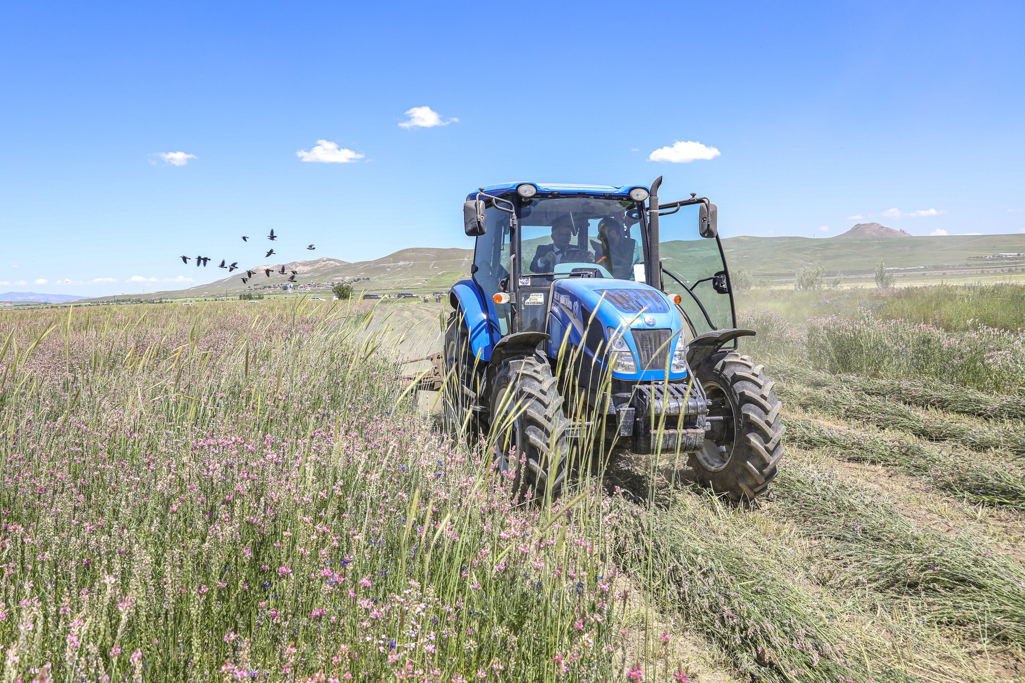 5 milyar 93 milyon liralık tarımsal destekleme ödemesine başlandı