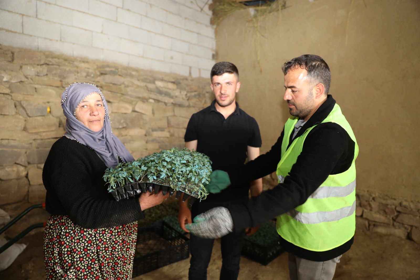 Van’da sebze fidesi dağıtımı yapıldı