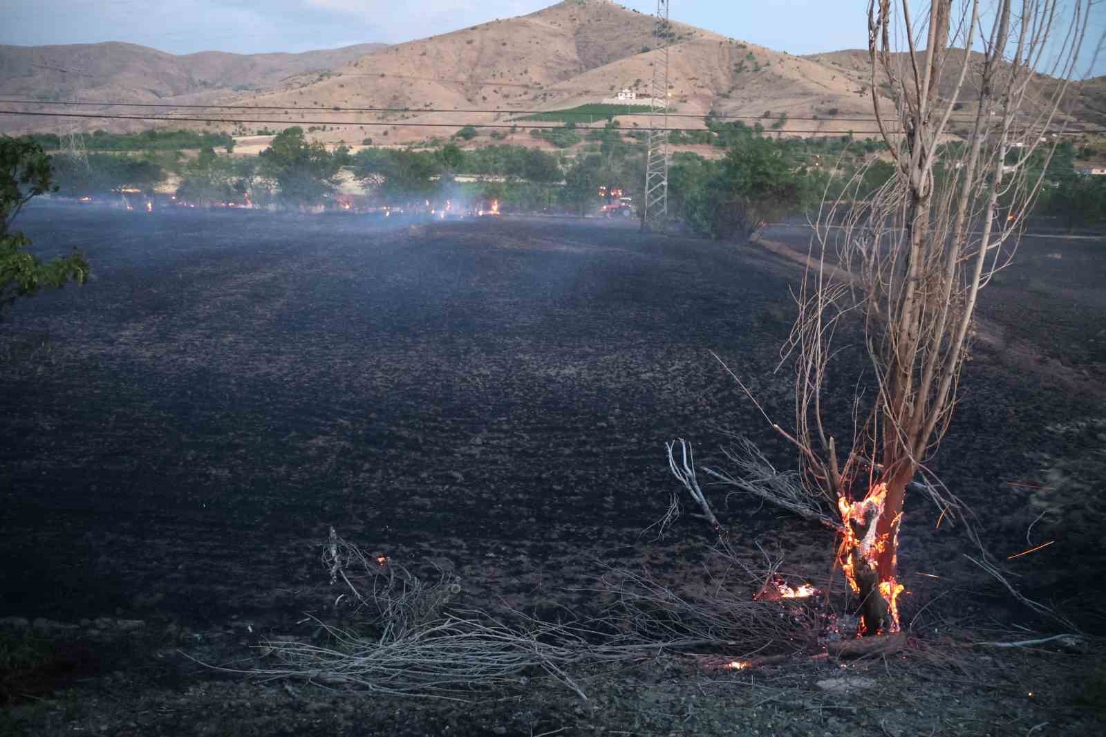 Arazide çıkan yangında: 20 dönüm ekili alan kül oldu