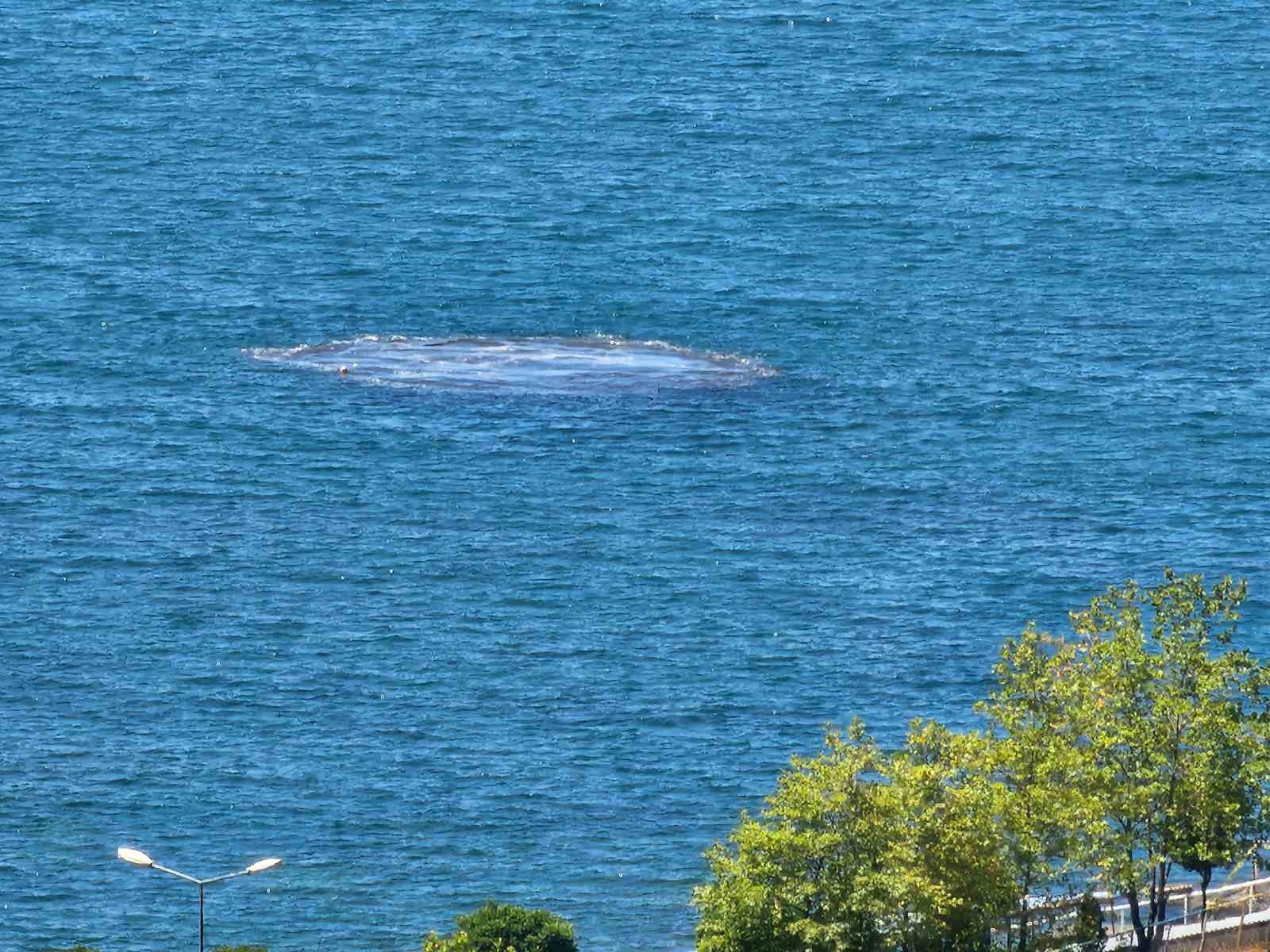 Karadeniz Ereğli’de denizde bulunan mayın kontrollü şekilde imha edildi