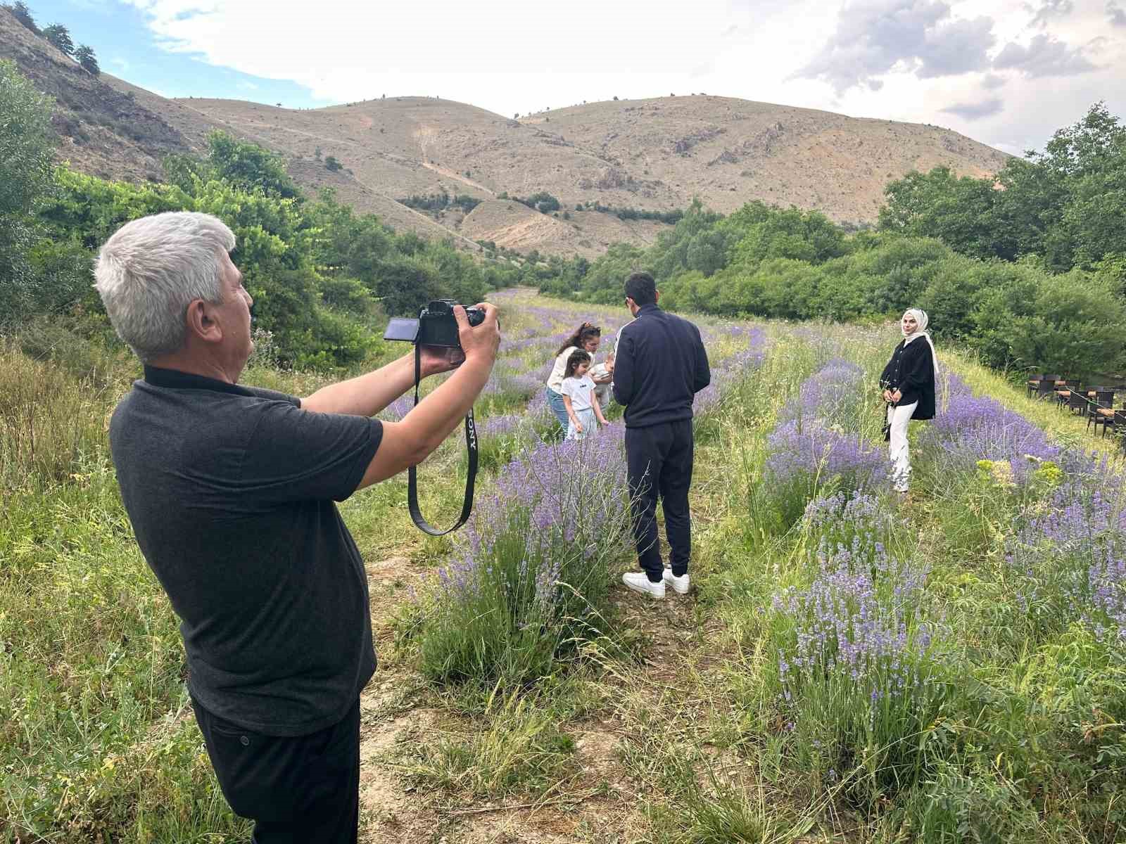 Erzincan’da lavanta üretimi için çalışmalarına devam ediyor