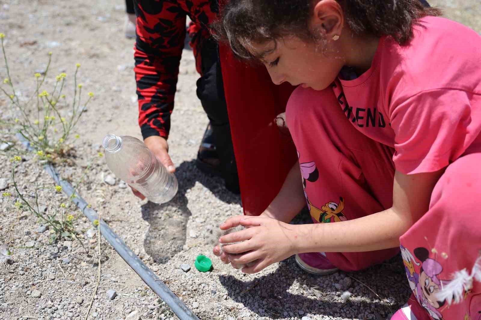 8 yaşındaki kızın, susuz kalan martı yavrusunu kurtarma mücadelesi yüreklere dokundu