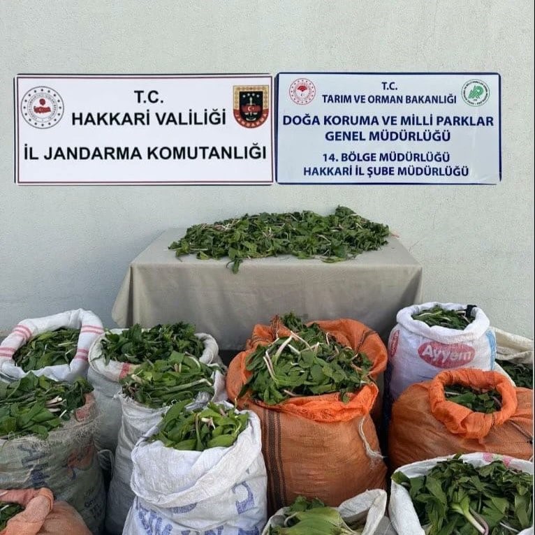 2 çuval Hakkari soğanını İran’a götürmek üzereyken yakalandı: 1 milyon 161 bin 423 TL para cezası verildi