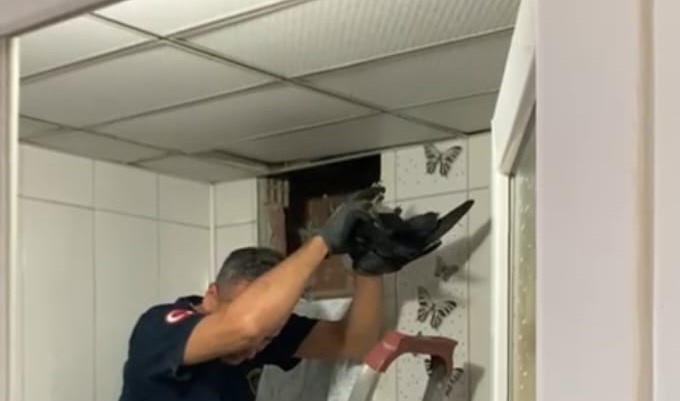 Havalandırma boşluğuna düşen kuşun imdadına itfaiye yetişdi