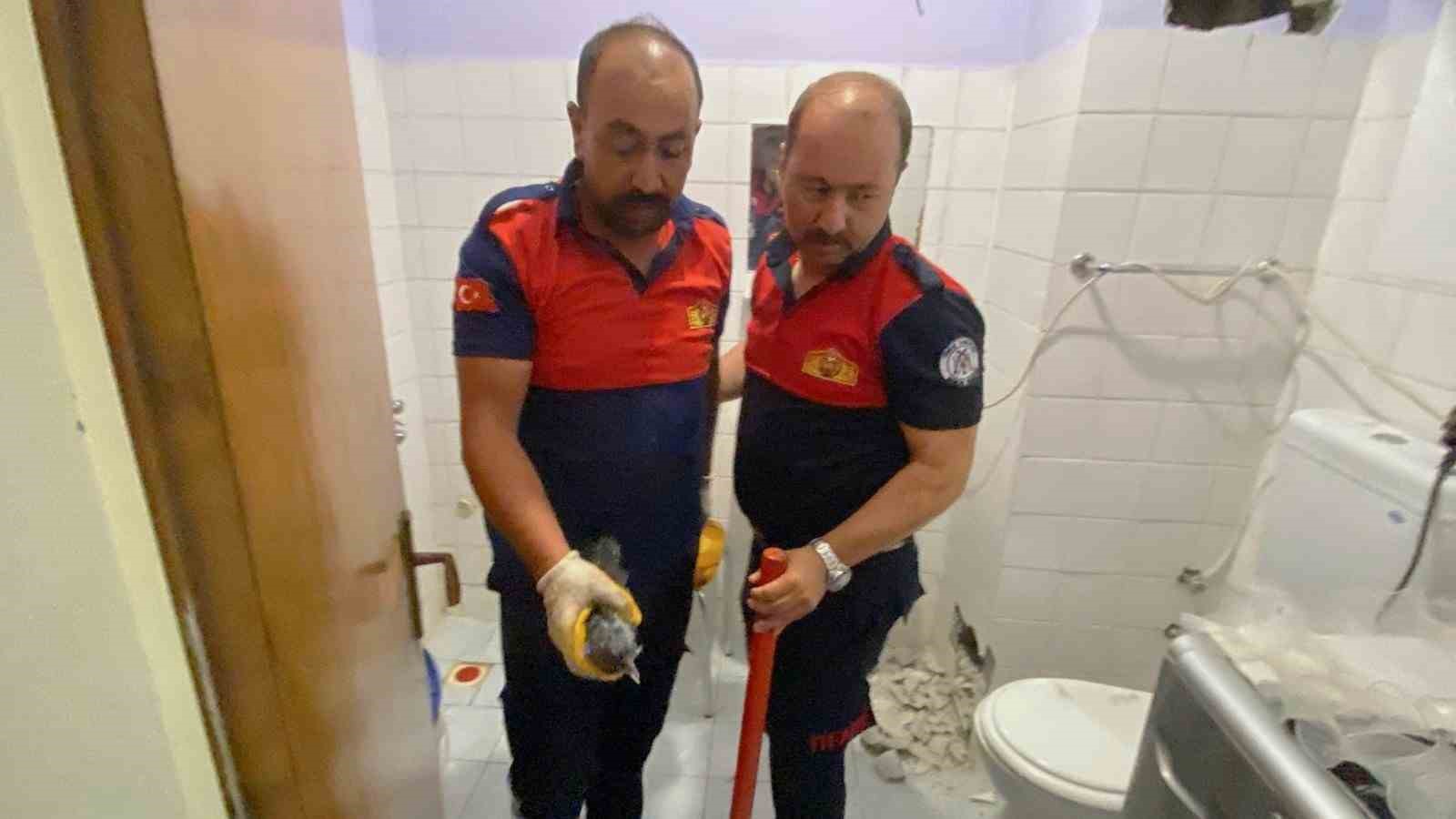 Havalandırma boşluğunda sıkışan karga  kurtarıldı