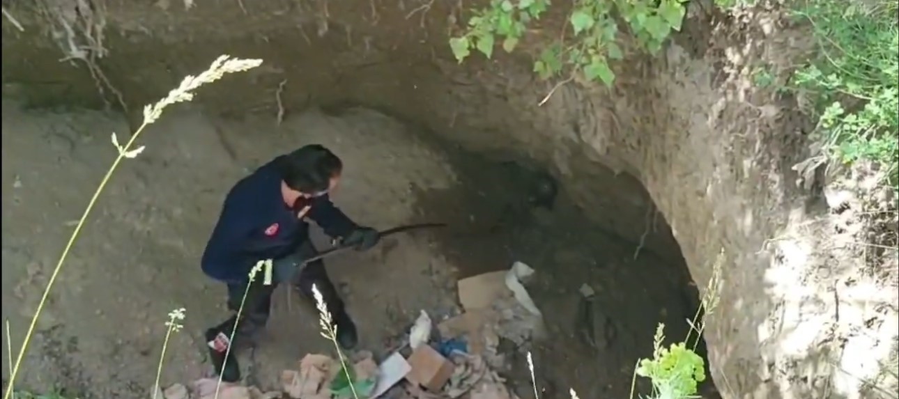 Van’da dev çukurda mahsur kalan sansar kurtarıldı