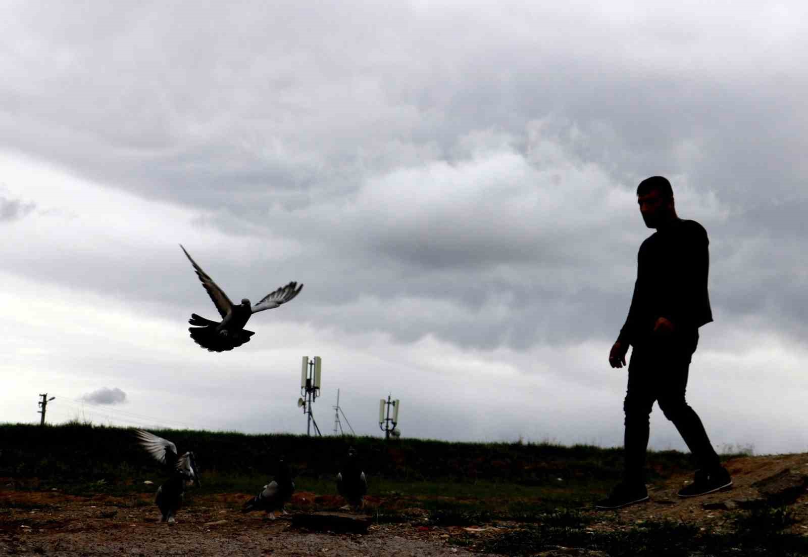 Vazgeçilmeyen bir tutku, çocukları gibi bakıyolar